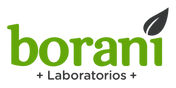 Borani - Inicio